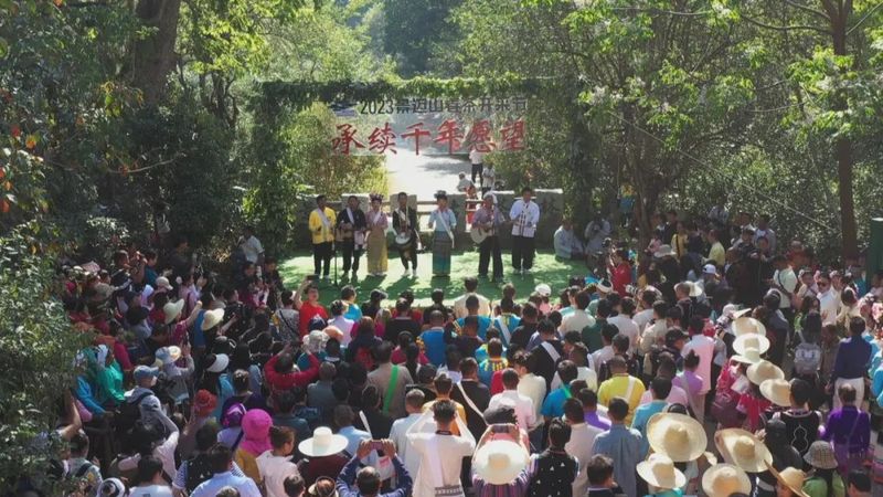 关于春到澜沧茶韵浓 春茶采摘正当时 ——景迈山举办2023年首届春茶开采节的资讯(1)