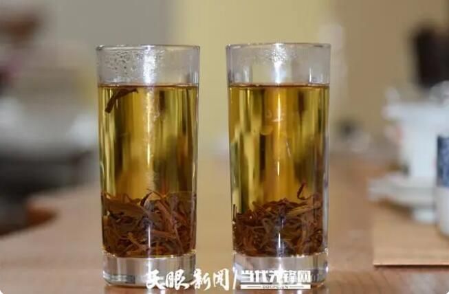 关于桐梓县尧龙山镇：千年古茶树 阳春采新芽的内容(2)