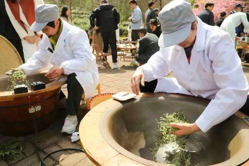 有关于江苏镇江：“金山翠芽”茶正式开采的资讯(2)
