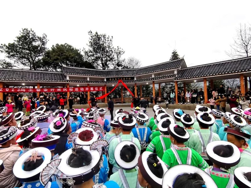 有关于2023年贵州各地春茶生产一线观察：三月正芬芳 尤有黔茶香的消息(1)