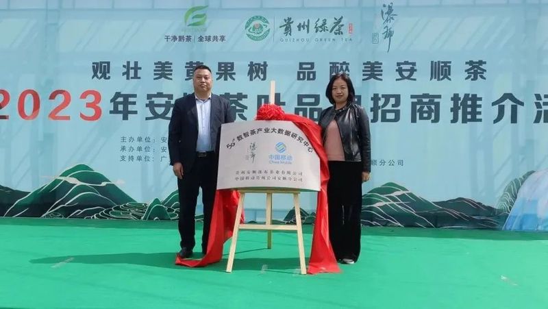 有关于2023年贵州各地春茶生产一线观察：三月正芬芳 尤有黔茶香的消息(3)