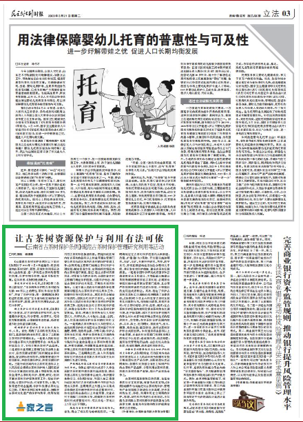 关于《云南省古茶树保护条例》规范古茶树保护管理研究利用等活动的信息