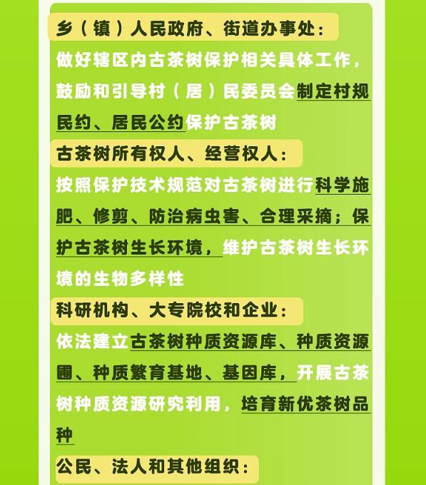 有关于守护好云南这一缕古树茶香 讲好“茶故事”的相关信息(14)