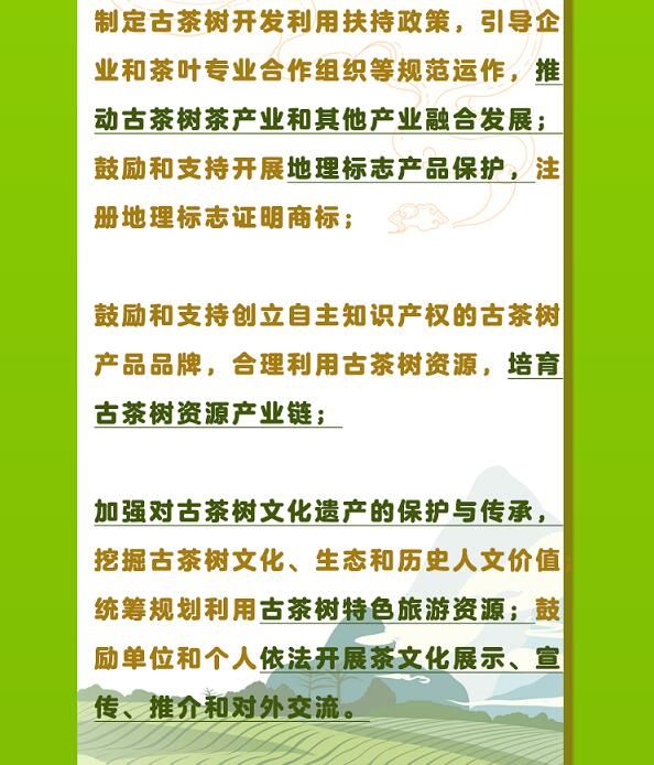 有关于守护好云南这一缕古树茶香 讲好“茶故事”的相关信息(17)