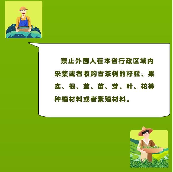 有关于守护好云南这一缕古树茶香 讲好“茶故事”的相关信息(18)