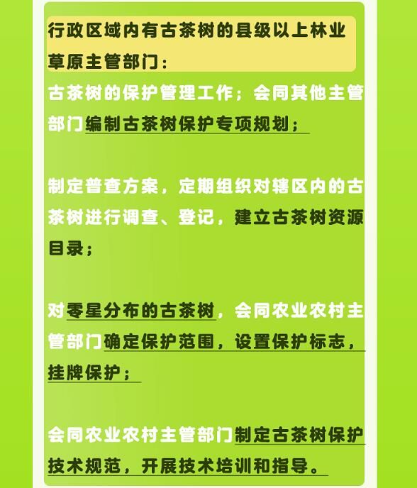 有关于守护好云南这一缕古树茶香 讲好“茶故事”的相关信息(13)