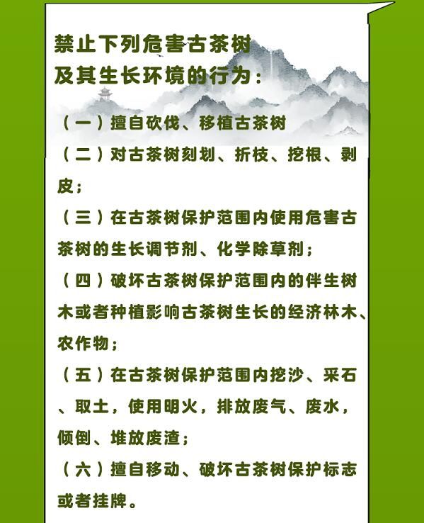 有关于守护好云南这一缕古树茶香 讲好“茶故事”的相关信息(19)