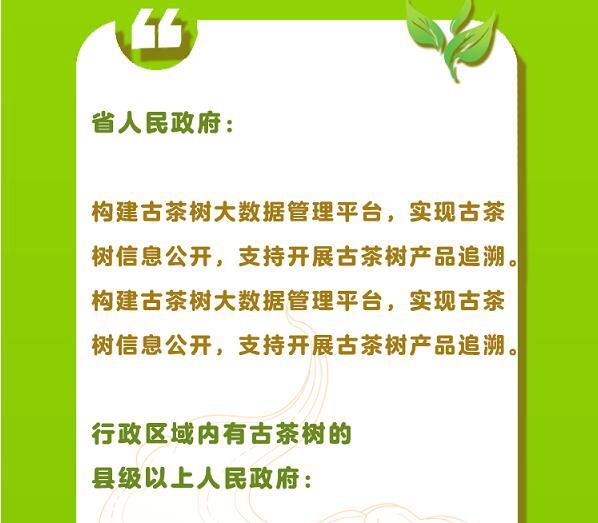 有关于守护好云南这一缕古树茶香 讲好“茶故事”的相关信息(16)