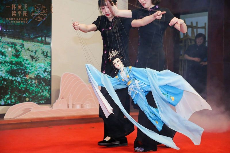 有关于一杯黄汤读平阳——平阳黄汤杭州推介暨科研成果发布会在杭州举行的消息(6)