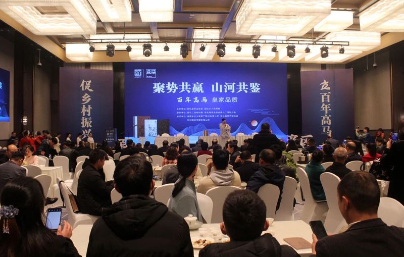 关于白沙溪的信息