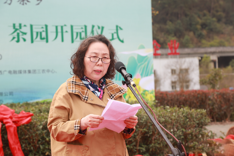 有关于汉中仙毫今日在“中国最美茶乡”西乡枣园东裕茗园开采上市！的最新消息(10)