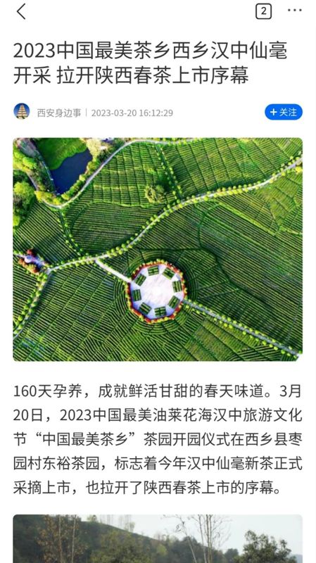 有关于汉中仙毫今日在“中国最美茶乡”西乡枣园东裕茗园开采上市！的最新消息(19)