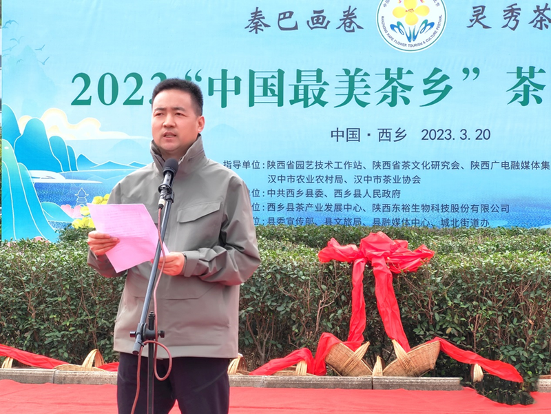 有关于汉中仙毫今日在“中国最美茶乡”西乡枣园东裕茗园开采上市！的最新消息(9)