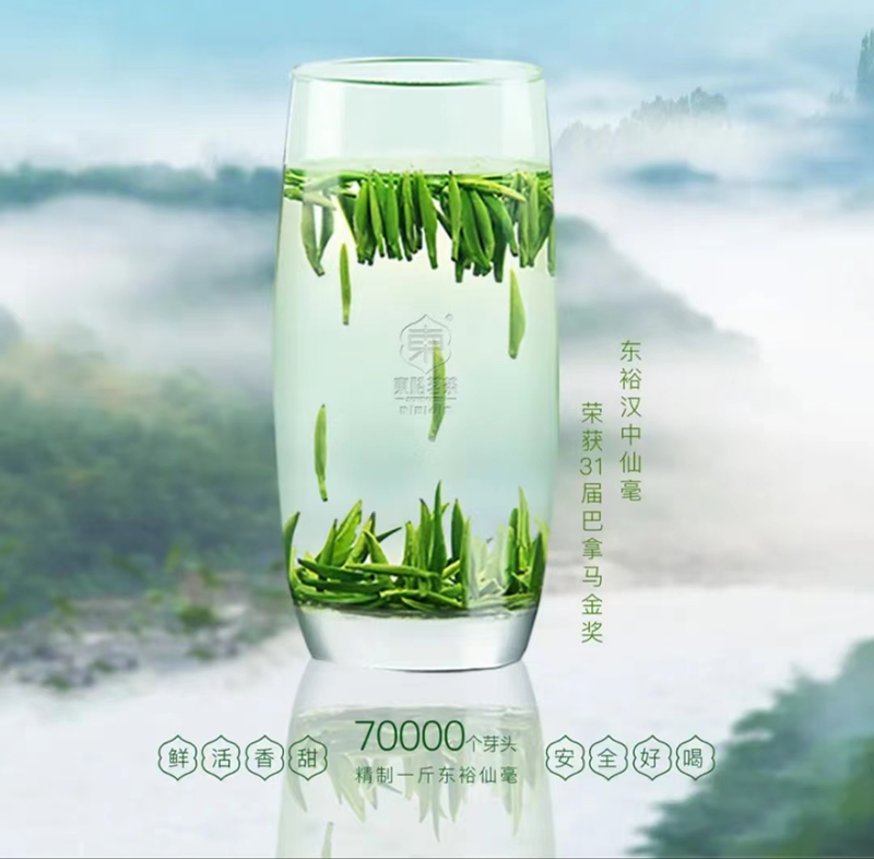 有关于汉中仙毫今日在“中国最美茶乡”西乡枣园东裕茗园开采上市！的最新消息(18)