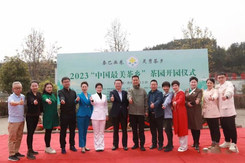 有关于汉中仙毫今日在“中国最美茶乡”西乡枣园东裕茗园开采上市！的最新消息(3)