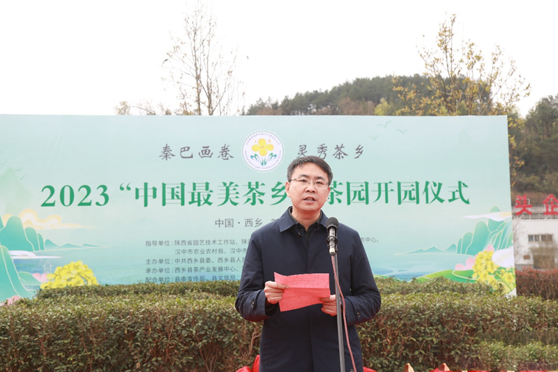 有关于汉中仙毫今日在“中国最美茶乡”西乡枣园东裕茗园开采上市！的最新消息(7)