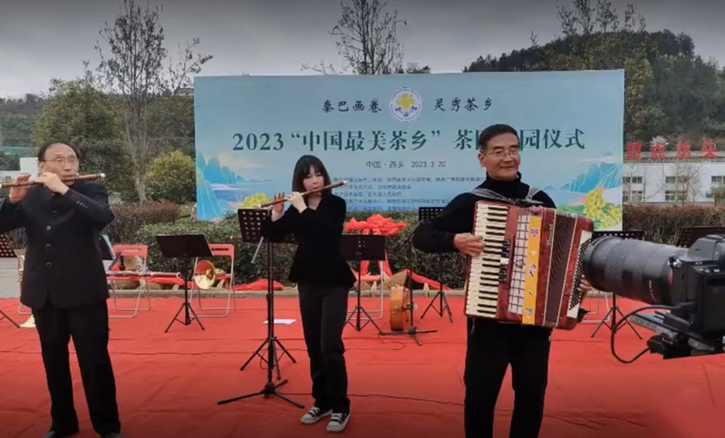 有关于汉中仙毫今日在“中国最美茶乡”西乡枣园东裕茗园开采上市！的最新消息(4)