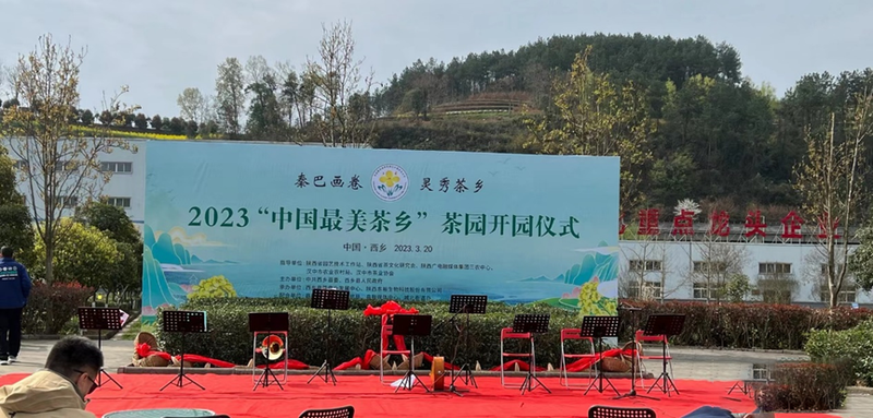 有关于汉中仙毫今日在“中国最美茶乡”西乡枣园东裕茗园开采上市！的最新消息