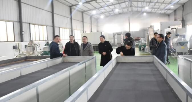 关于修水县委统战部组织调研组深入乡镇茶企调研茶产业发展的最新消息(1)