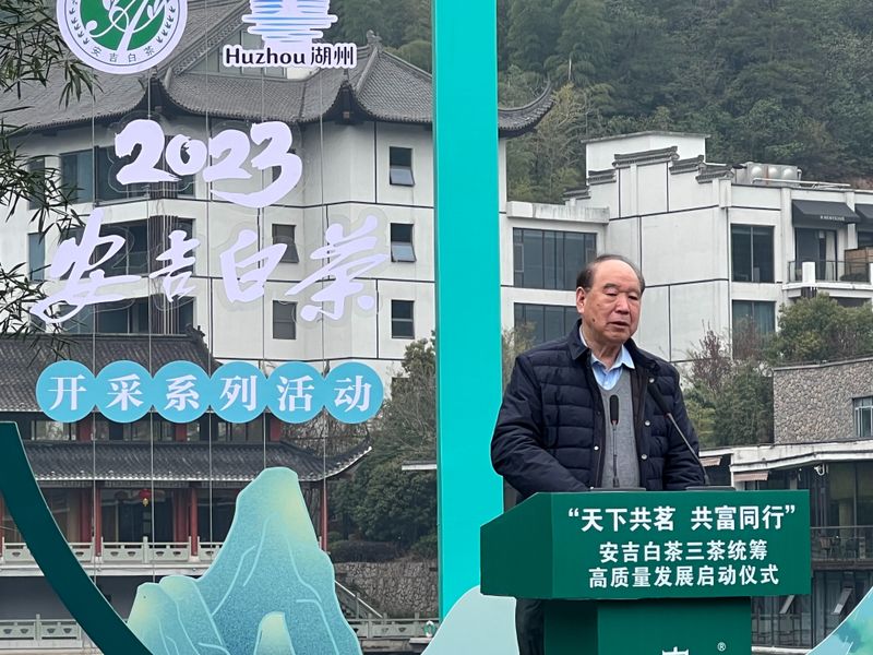 关于“天下共茗 共富同行”安吉白茶三茶统筹高质量发展启动仪式在宋茗茶博园举行的内容(15)