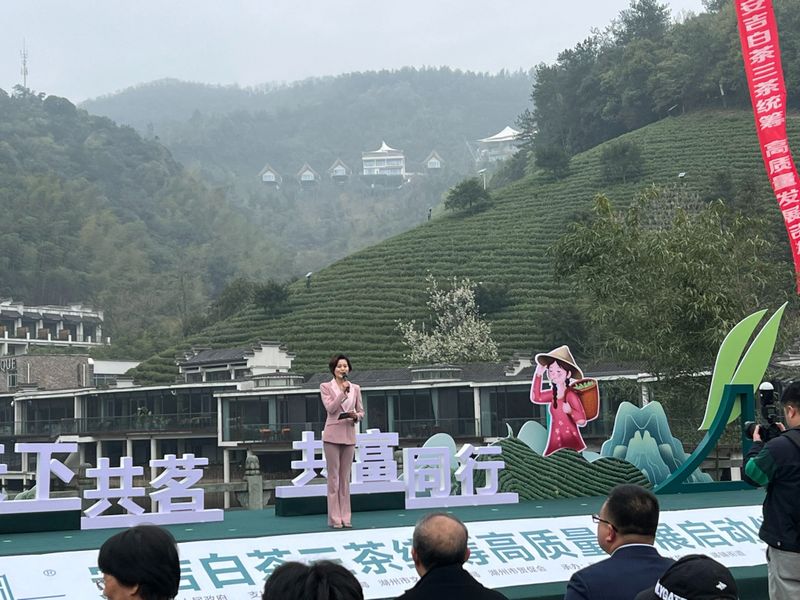 关于“天下共茗 共富同行”安吉白茶三茶统筹高质量发展启动仪式在宋茗茶博园举行的内容