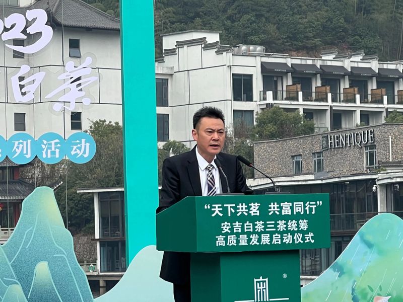 关于“天下共茗 共富同行”安吉白茶三茶统筹高质量发展启动仪式在宋茗茶博园举行的内容(3)