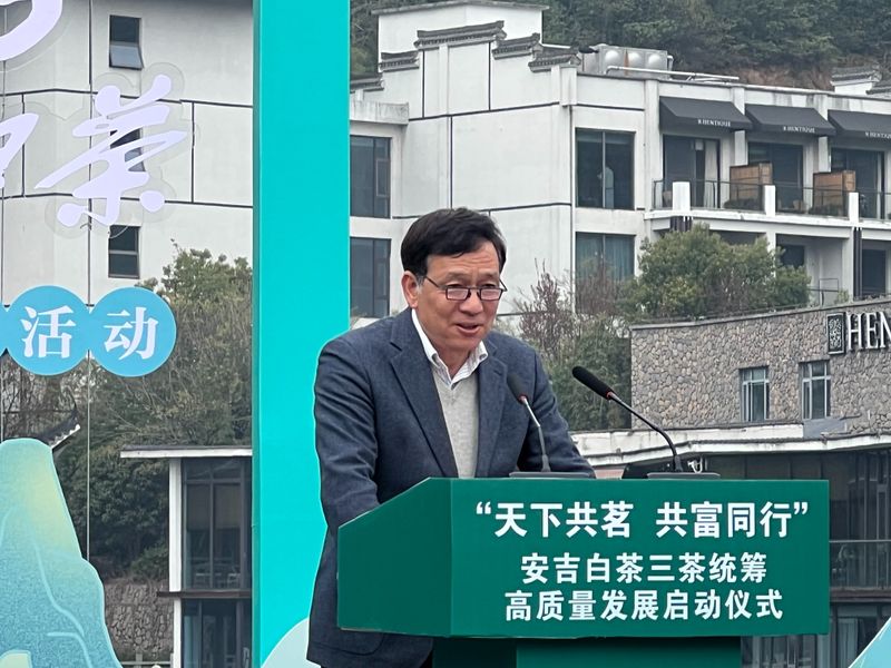 关于“天下共茗 共富同行”安吉白茶三茶统筹高质量发展启动仪式在宋茗茶博园举行的内容(4)