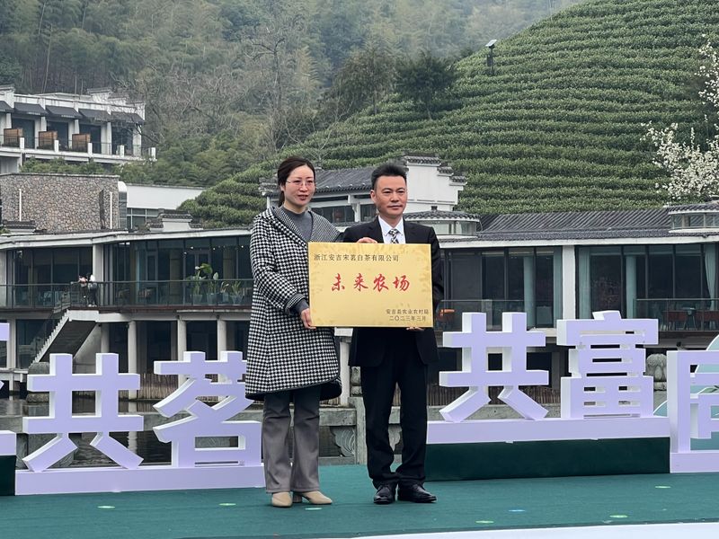 关于“天下共茗 共富同行”安吉白茶三茶统筹高质量发展启动仪式在宋茗茶博园举行的内容(8)