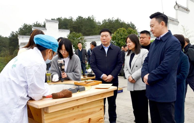 有关于凤冈县召开“双有机”战略（一县一试点）暨茶产业工作推进会的相关信息(2)
