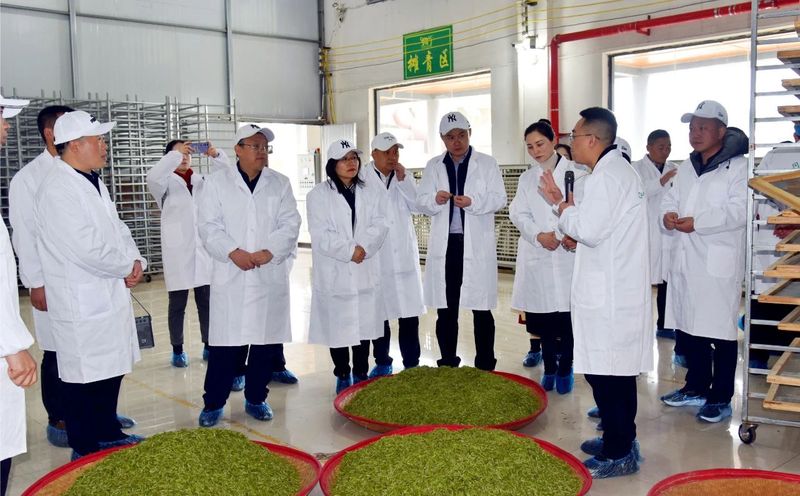 有关于凤冈县召开“双有机”战略（一县一试点）暨茶产业工作推进会的相关信息(3)