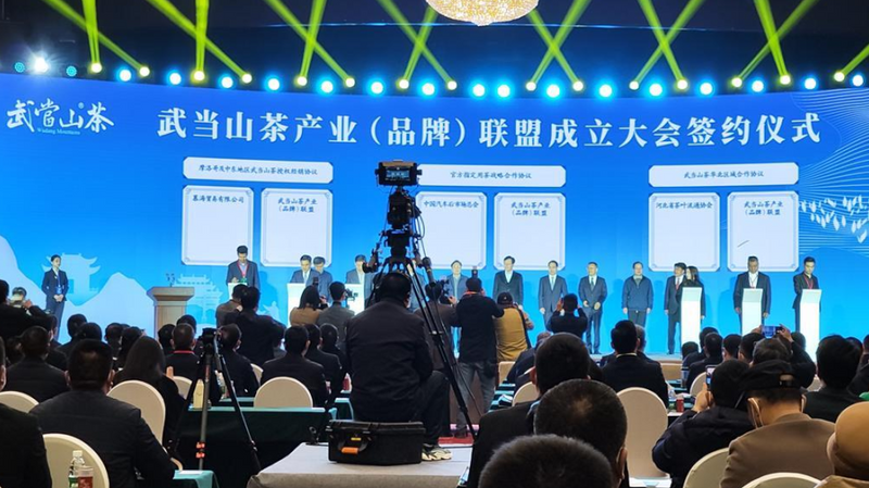 关于抱着两大金字招牌却太卷,十堰成立联盟抱团打响“武当山茶”品牌的信息(4)