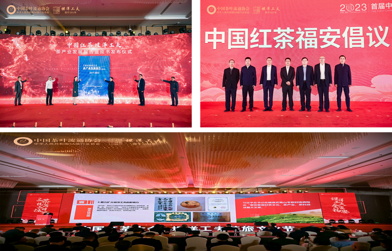 关于2023坦洋工夫茶旅文化节拉开帷幕的消息(2)