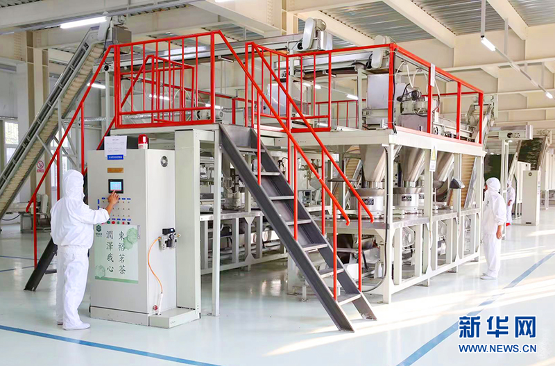 关于汉中西乡：最美茶乡新芽开采 拉开陕西春茶上市序幕的相关信息(3)