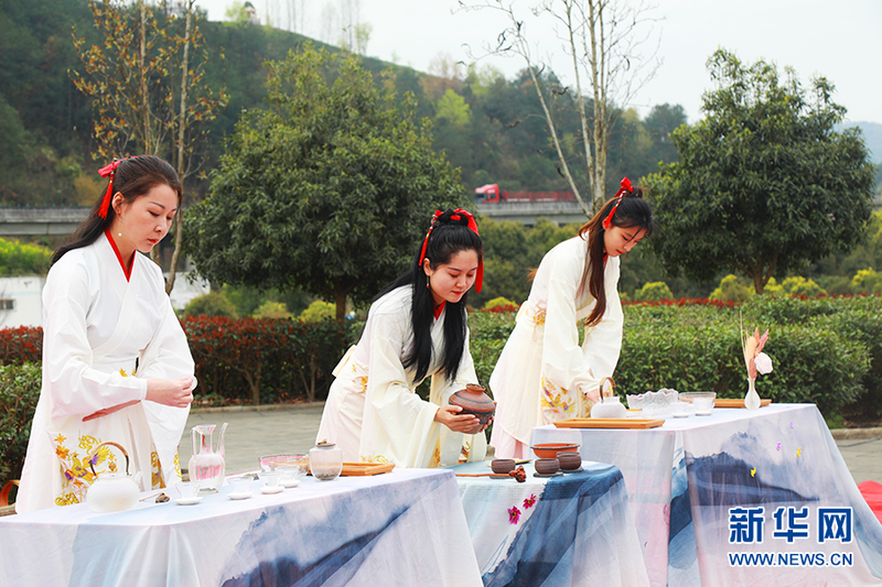 关于汉中西乡：最美茶乡新芽开采 拉开陕西春茶上市序幕的相关信息(1)