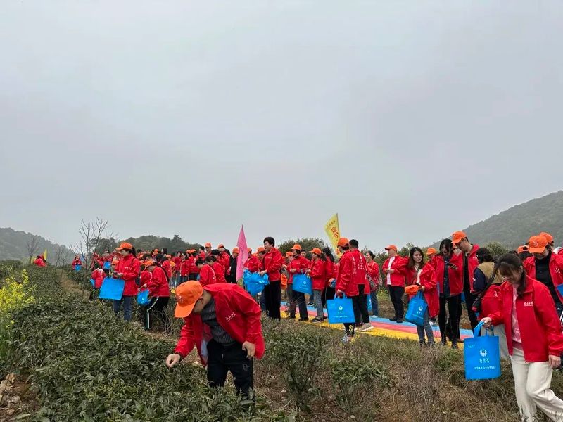 有关于用心做一杯健康茶 生态茶园走出乡村振兴新模式的信息