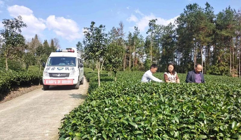 有关于守护茶叶质量安全！湄潭湄江街道多举措发力的相关信息(1)