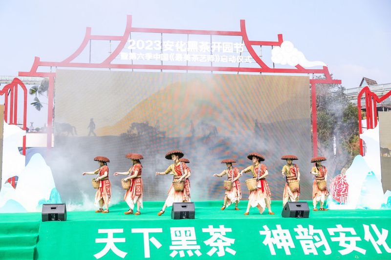 有关于2023安化黑茶开园节暨第六季中国《最美茶艺师》正式启动 ，茶乡安化36万亩茶园全面开采的消息(8)