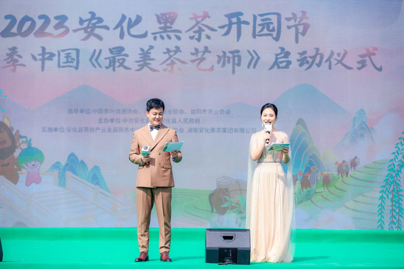有关于2023安化黑茶开园节暨第六季中国《最美茶艺师》正式启动 ，茶乡安化36万亩茶园全面开采的消息(11)