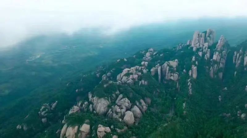 有关于中国开茶节，邀您品一杯福鼎白茶，聆听山海相拥之音的相关内容