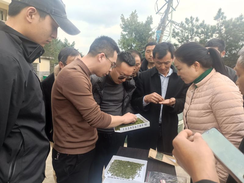 有关于2023年贵州茶产业技能培训（紫云站）举办的信息(3)