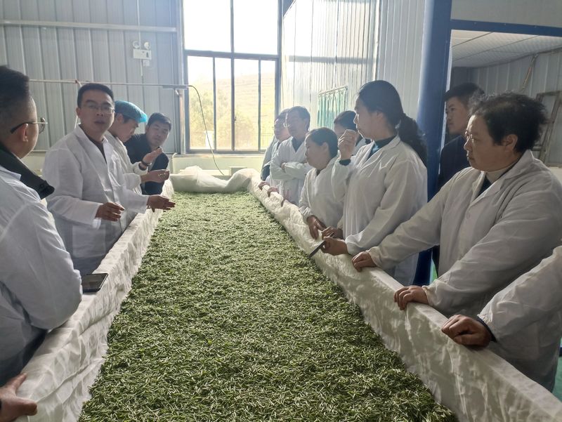 有关于2023年贵州茶产业技能培训（紫云站）举办的信息(6)