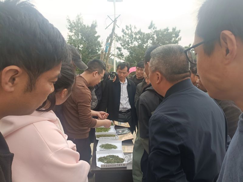 有关于2023年贵州茶产业技能培训（紫云站）举办的信息(4)