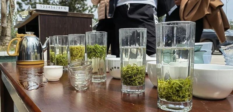 有关于2023年贵州茶产业技能培训（紫云站）举办的信息(5)