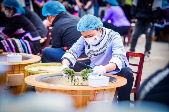 关于贵州望谟：紫茶种好“钱”景的资讯