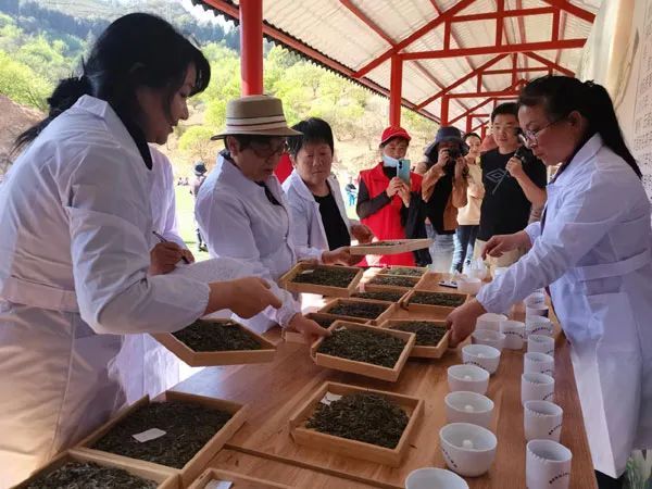 有关于云南茶叶所到宜良县开展助农增收行动的资讯