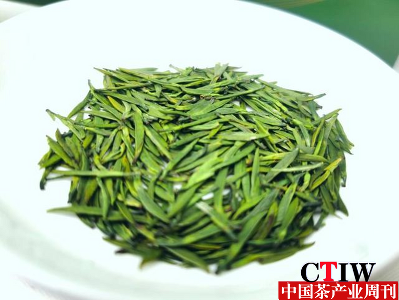 有关于宜宾区域公共品牌“屏山炒青”抱团走上茶产业高质量发展之路的信息(2)