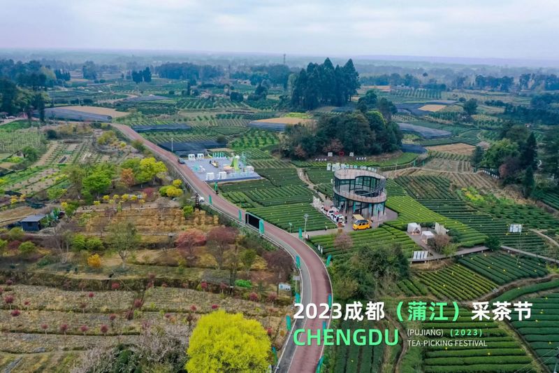 有关于春暖茶香 2023成都蒲江采茶节开幕的相关内容(14)