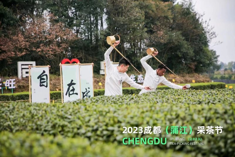 有关于春暖茶香 2023成都蒲江采茶节开幕的相关内容(13)