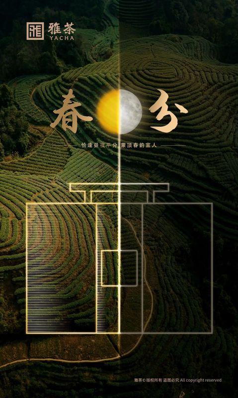 关于一半春天,一半茶的资讯