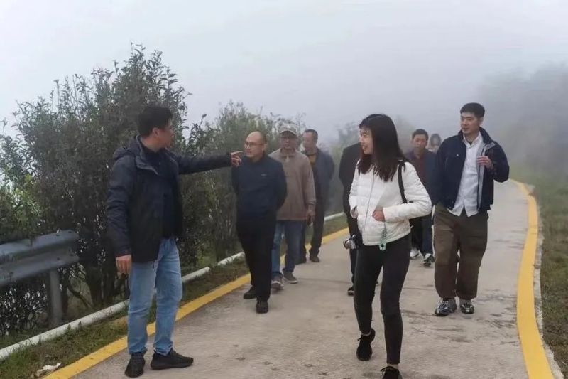 有关于文化赋能 科技助力 推动凤凰单丛茶产业高质量发展的相关内容